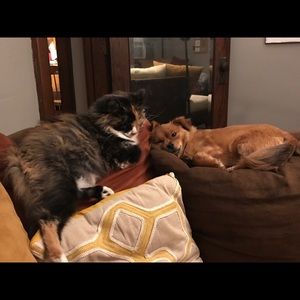 Meet your Posher, Samantha